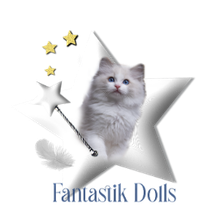 Chatterie des Fantastik Dolls